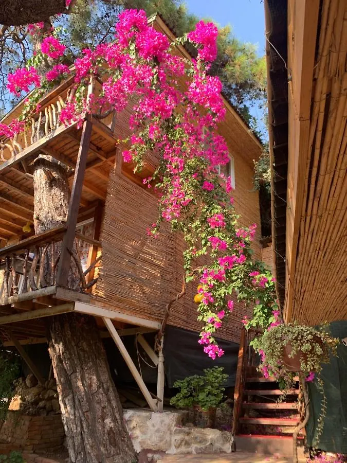 Large Bungalow With Sea View In Kabak Bay, Oeluedeniz Fethiye